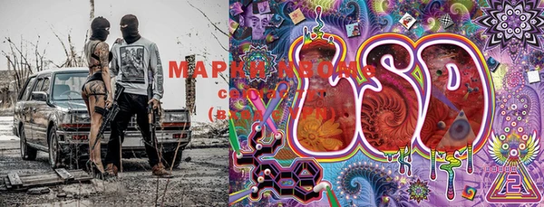 крисы Куйбышев