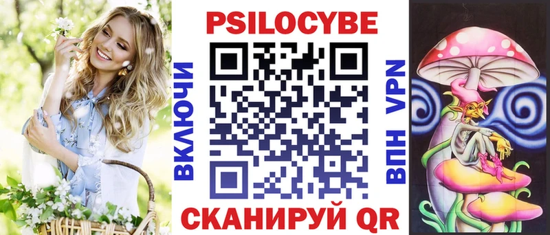 Псилоцибиновые грибы Psilocybe  Купить где  Альметьевск 